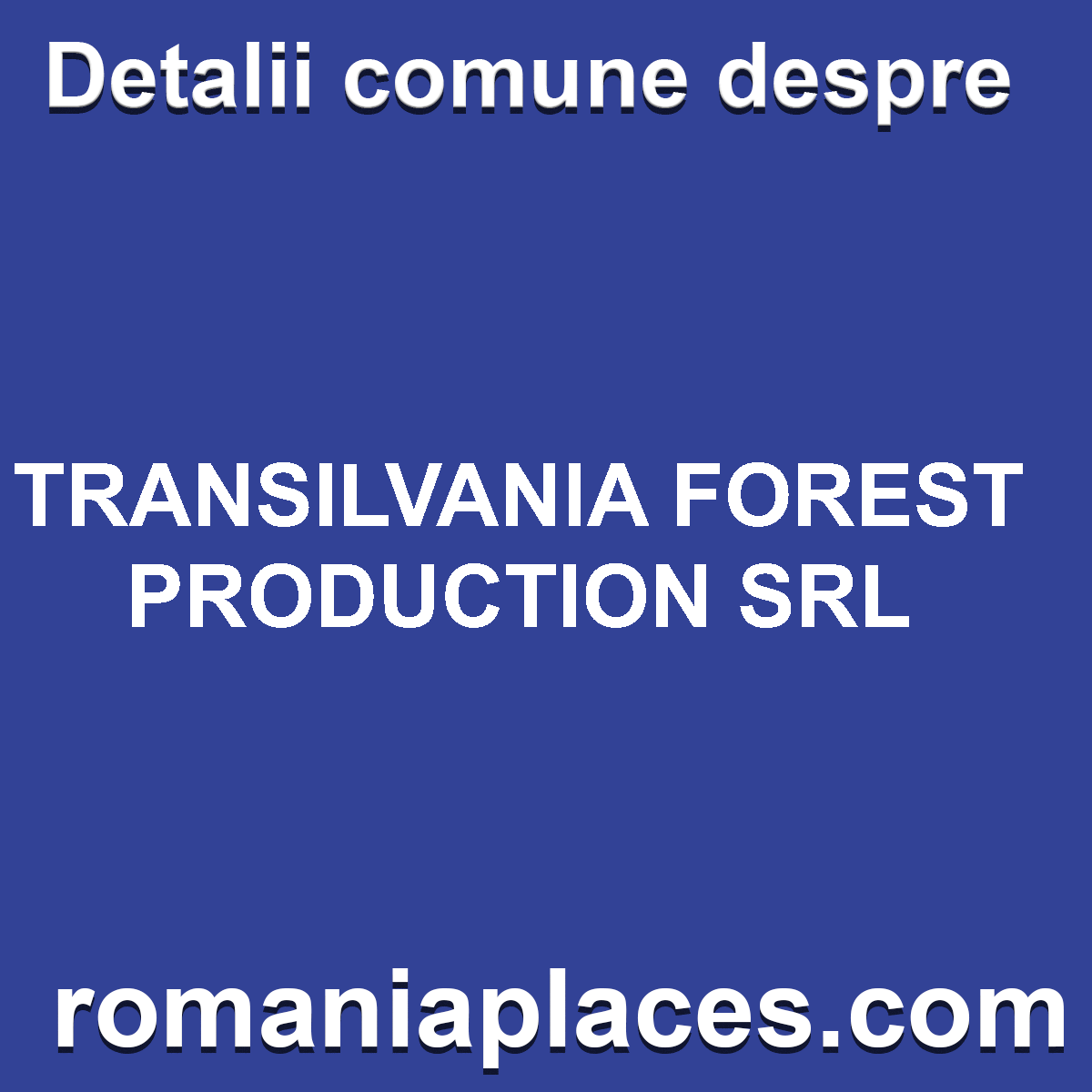 TRANSILVANIA FOREST PRODUCTION SRL