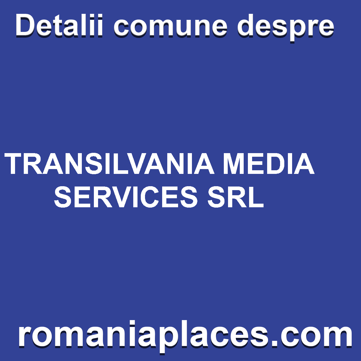 TRANSILVANIA MEDIA SERVICES SRL