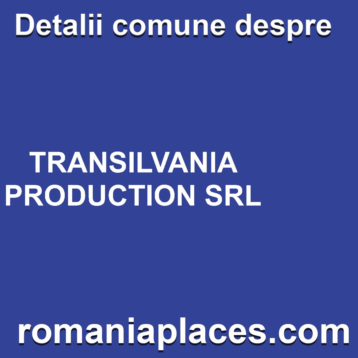 TRANSILVANIA PRODUCTION SRL