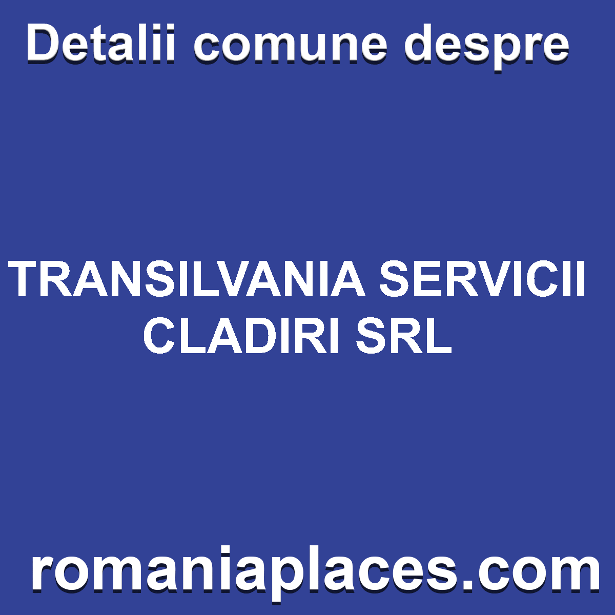 TRANSILVANIA SERVICII CLADIRI SRL