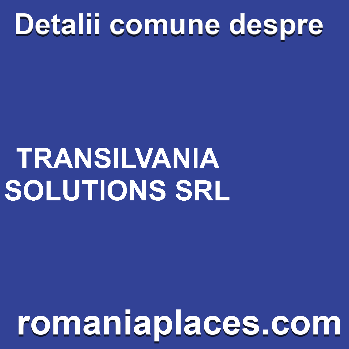 TRANSILVANIA SOLUTIONS SRL