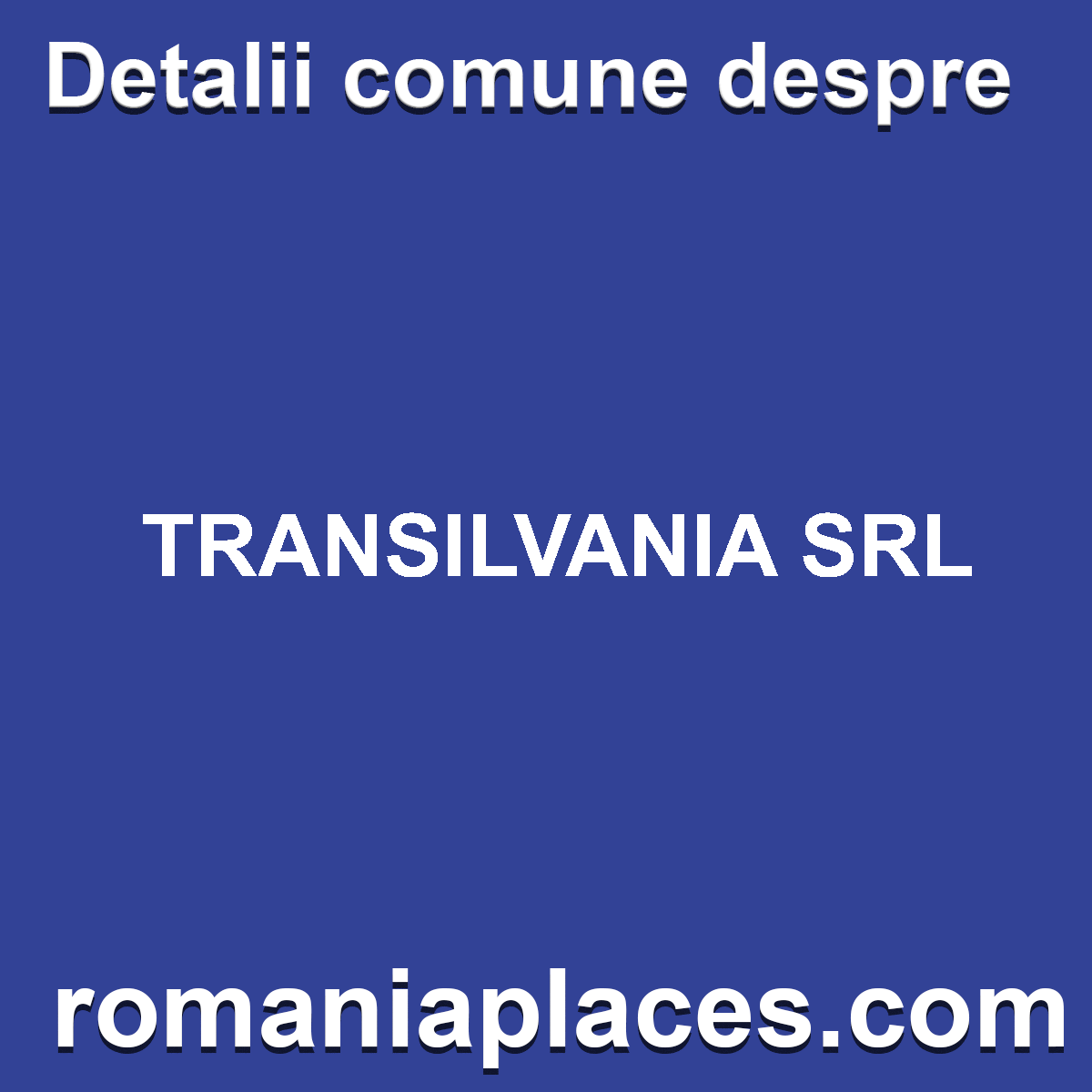 TRANSILVANIA SRL
