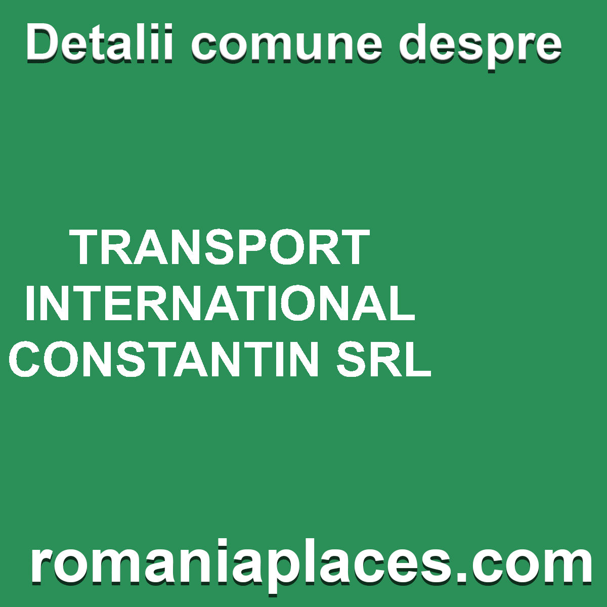 TRANSPORT INTERNATIONAL CONSTANTIN SRL