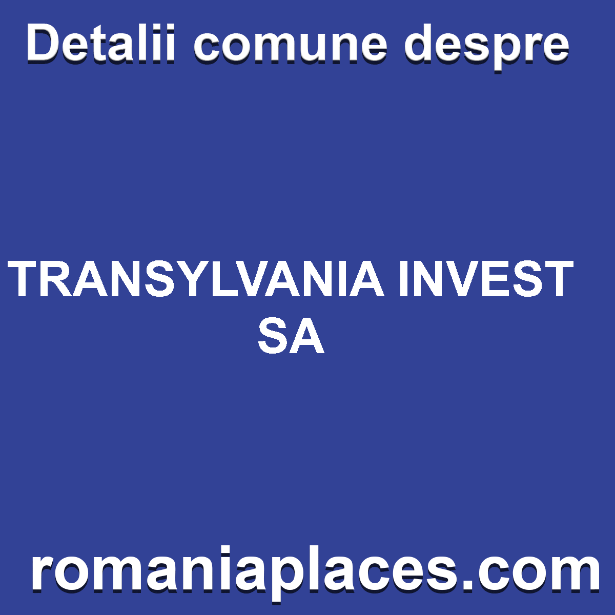 TRANSYLVANIA INVEST SA