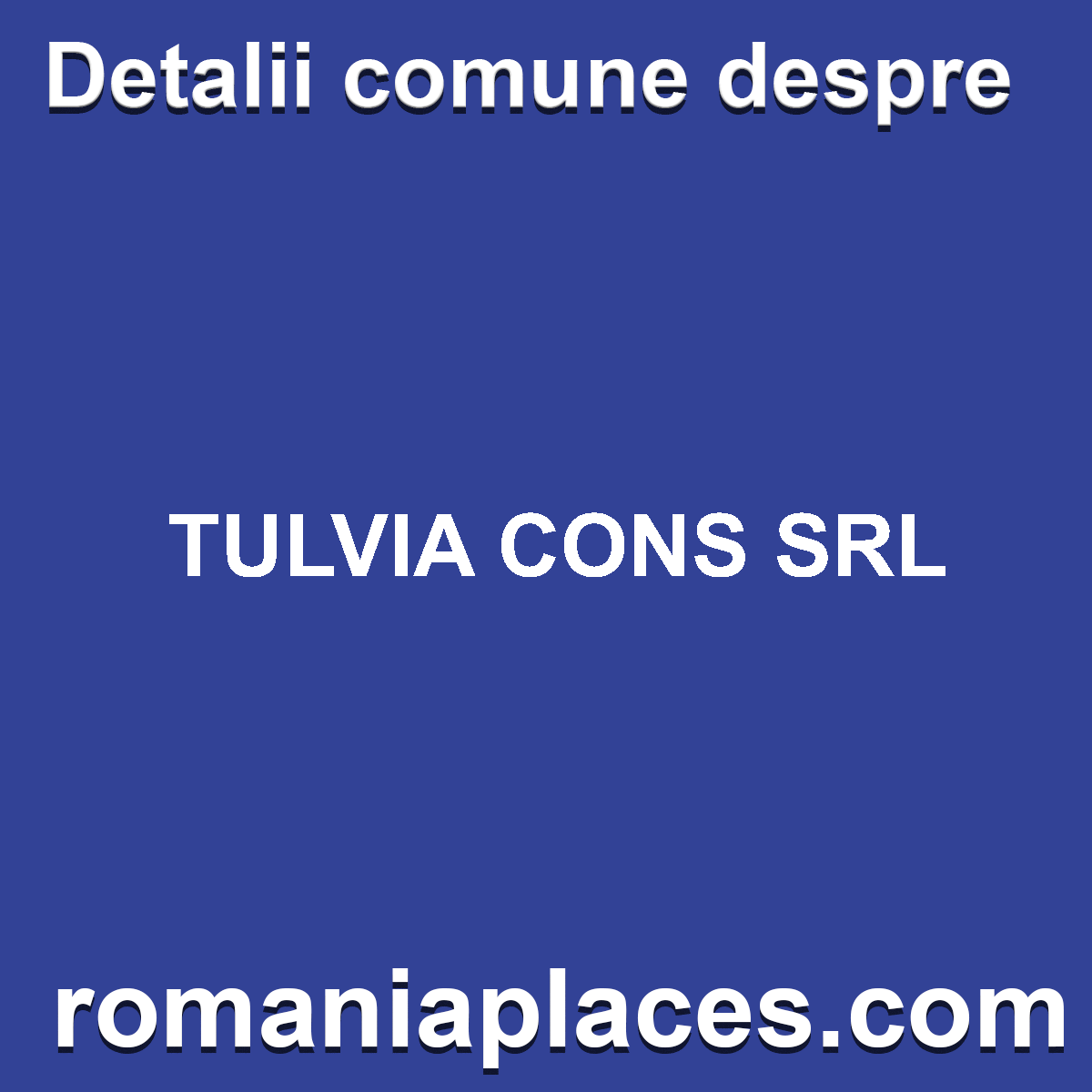 TULVIA CONS SRL