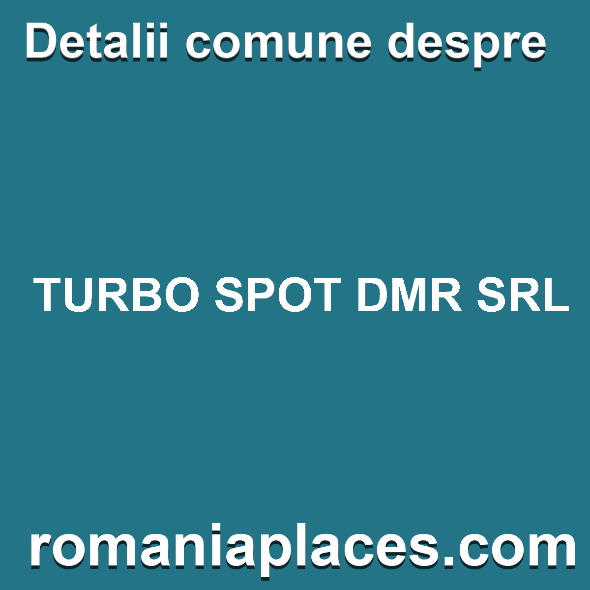 TURBO SPOT DMR SRL