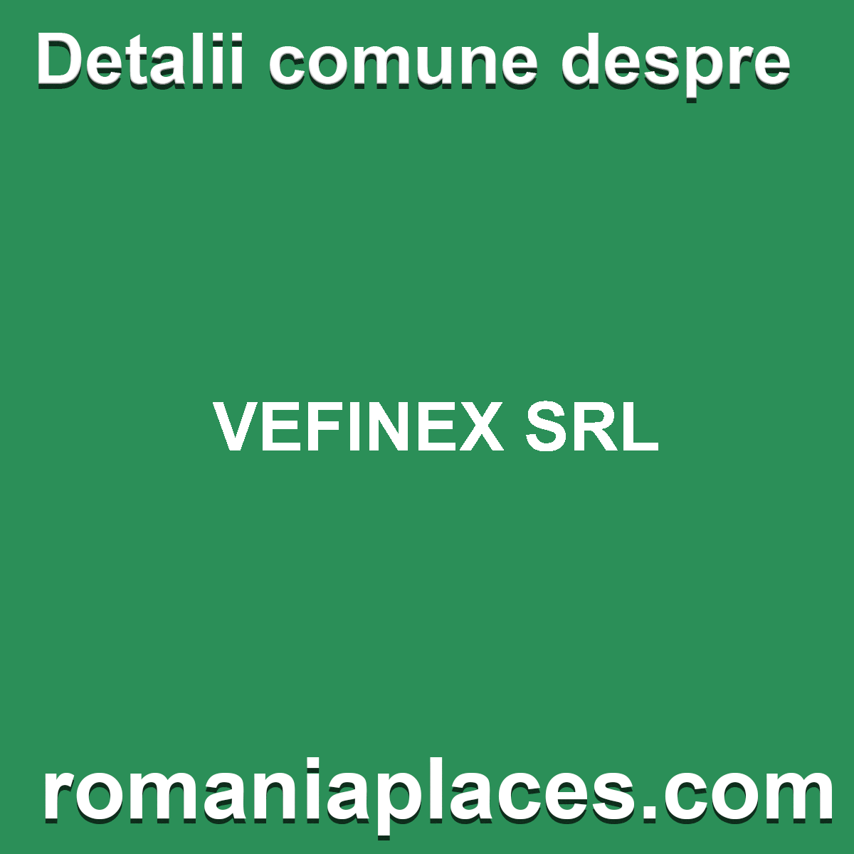 VEFINEX SRL