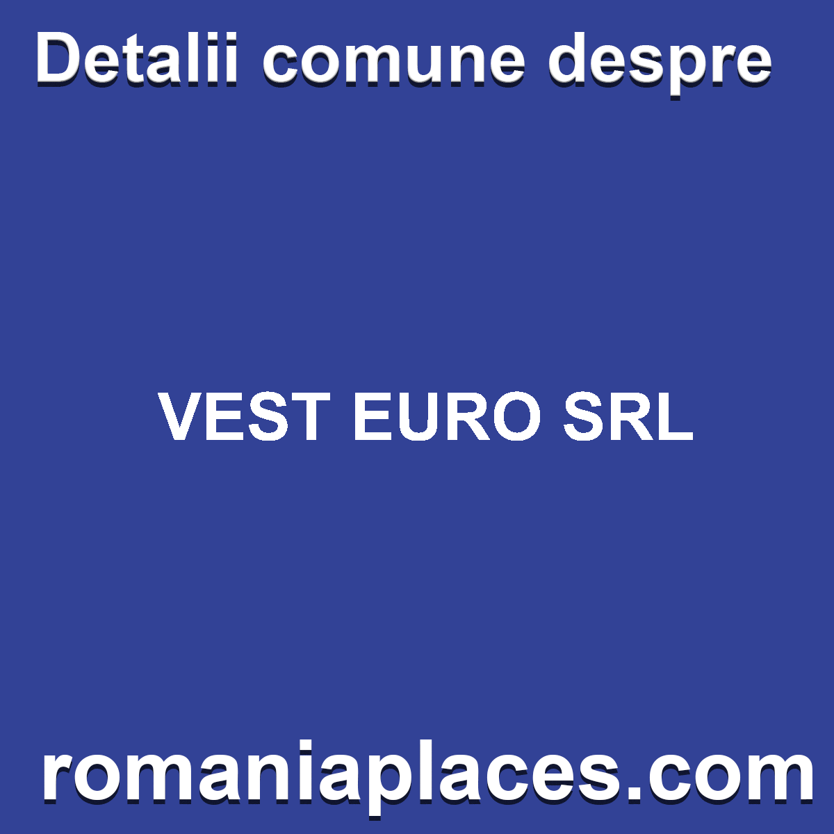 VEST EURO SRL