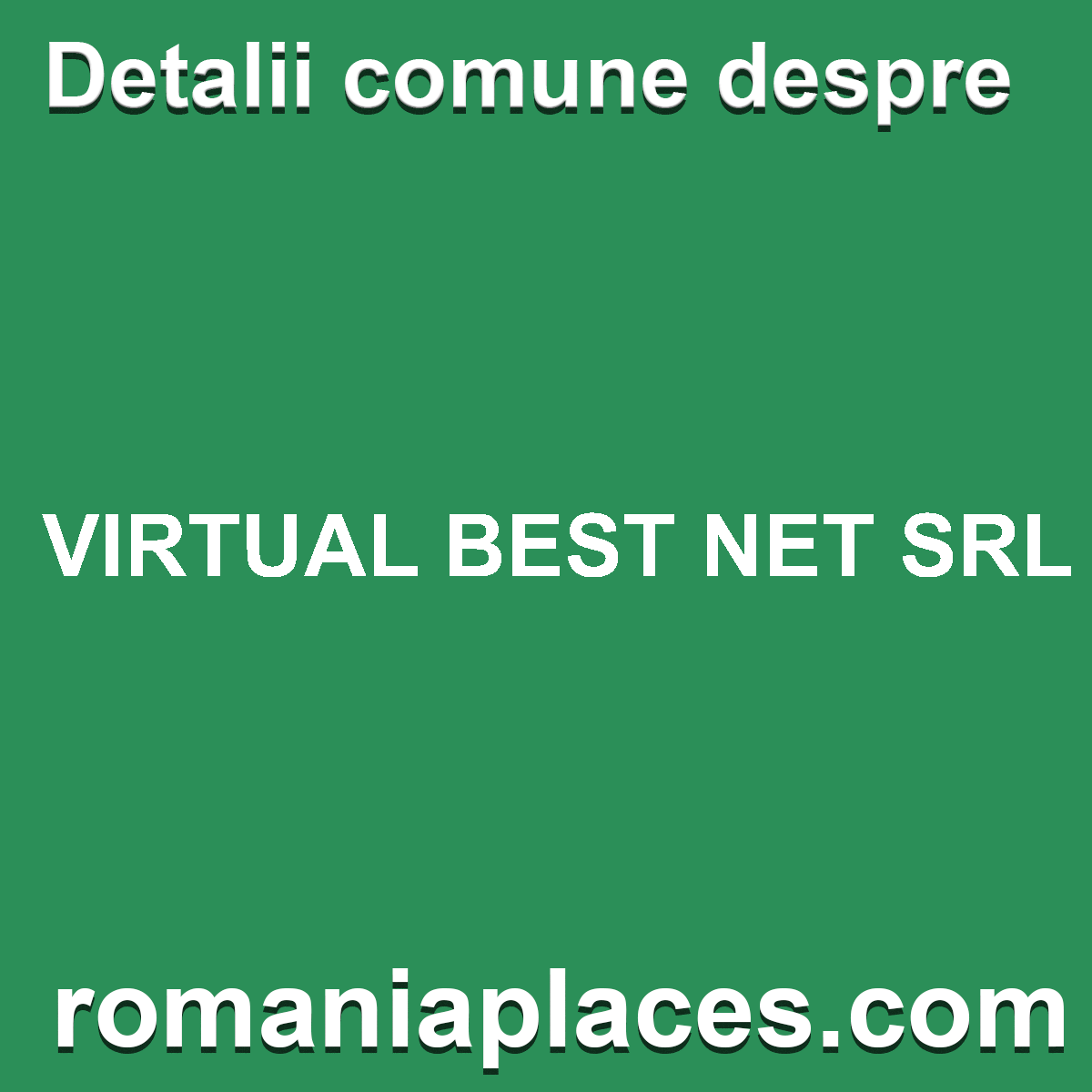 VIRTUAL BEST NET SRL