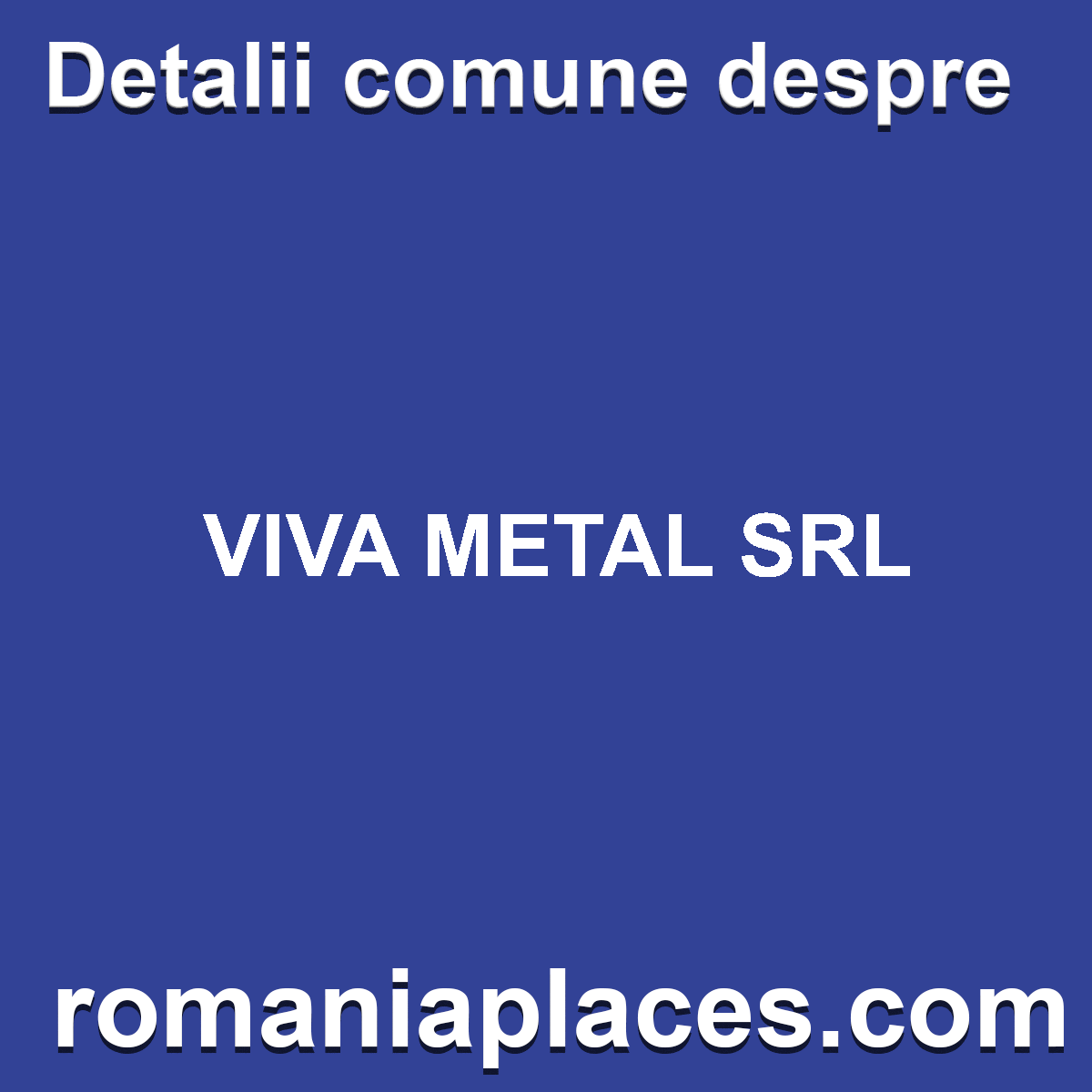 VIVA METAL SRL