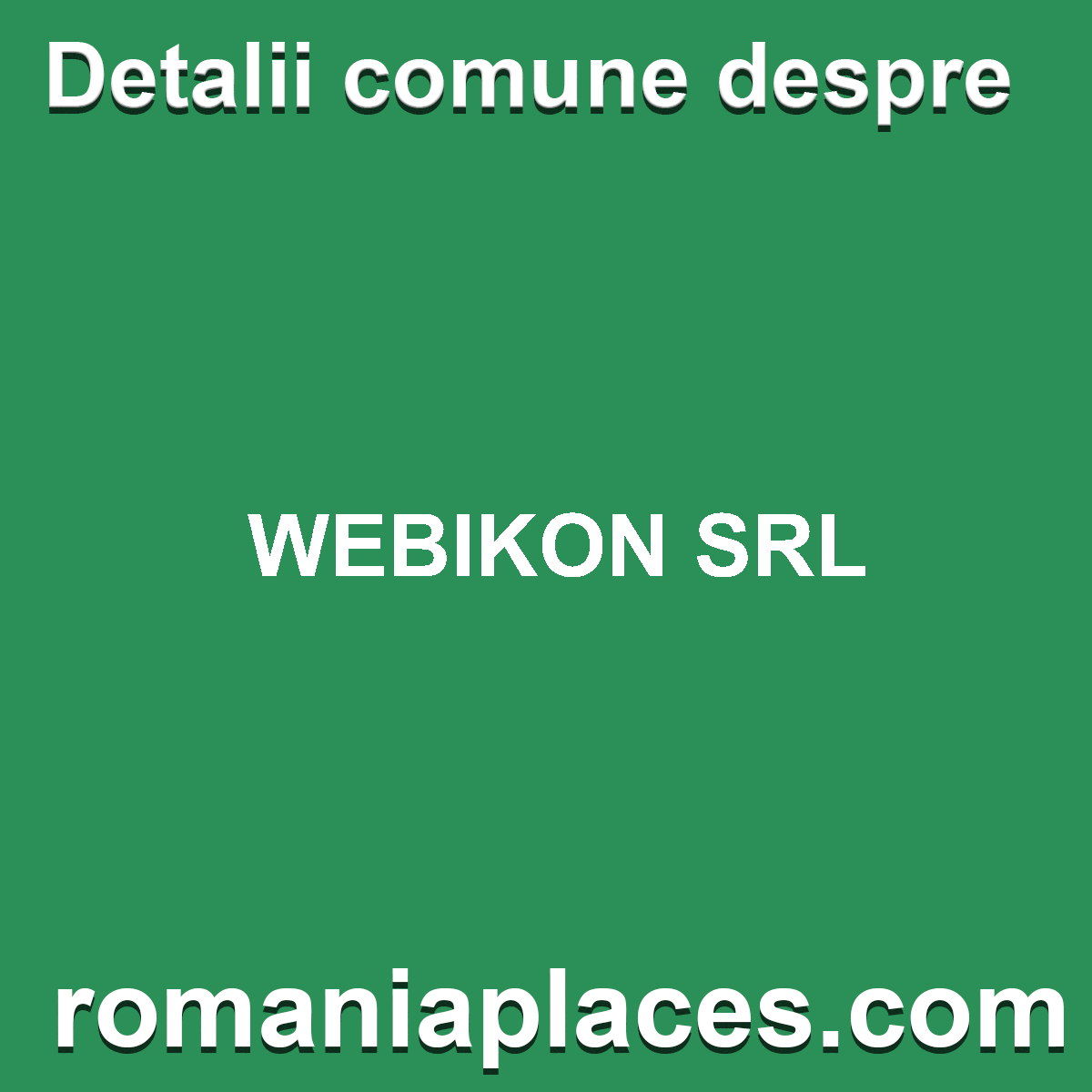 WEBIKON SRL