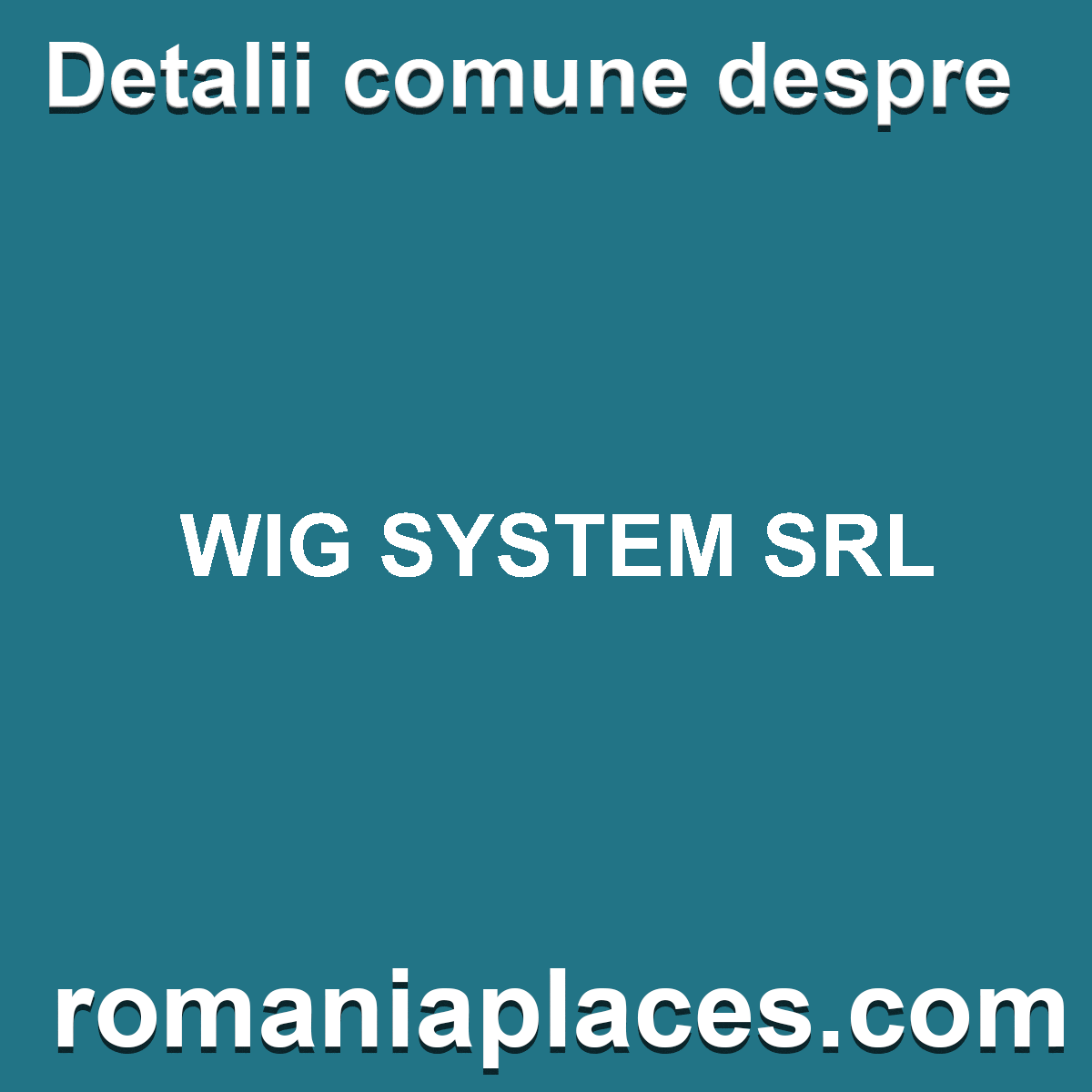 WIG SYSTEM SRL